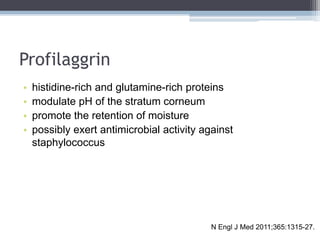 Profilaggrin
•   histidine-rich and glutamine-rich proteins
•   modulate pH of the stratum corneum
•   promote the retenti...