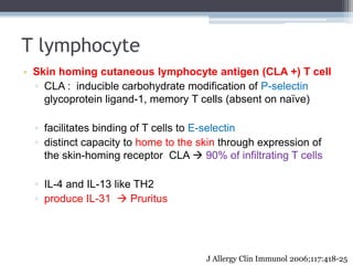 T lymphocyte
• Skin homing cutaneous lymphocyte antigen (CLA +) T cell
  ▫ CLA : inducible carbohydrate modification of P-...