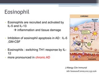 Eosinophil
• Eosinophils are recruited and activated by
  IL-5 and IL-13
        inflammation and tissue damage

• Inhibi...
