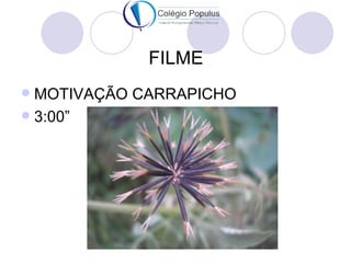 FILME
 MOTIVAÇÃO CARRAPICHO
 3:00”
 