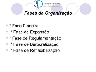 Fases da Organização

 * Fase Pioneira
 * Fase de Expansão
 * Fase de Regulamentação
 * Fase de Burocratização
 * Fase de Reflexibilização
 