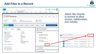 Salesforce Administrator presentation ppt | PPTX