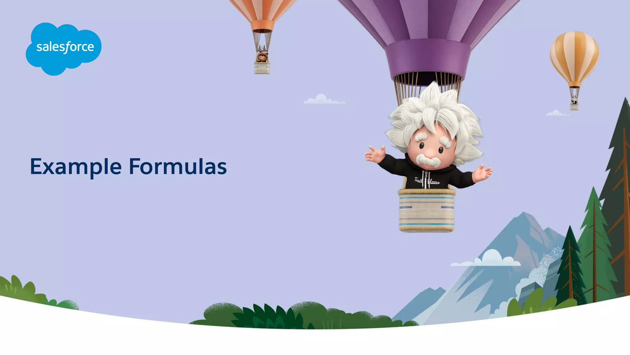 Admin Best Practices: Building Useful Formulas