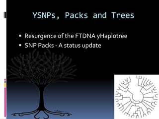 YSNPs, Packs and Trees
 Resurgence of the FTDNA yHaplotree
 SNP Packs - A status update
 