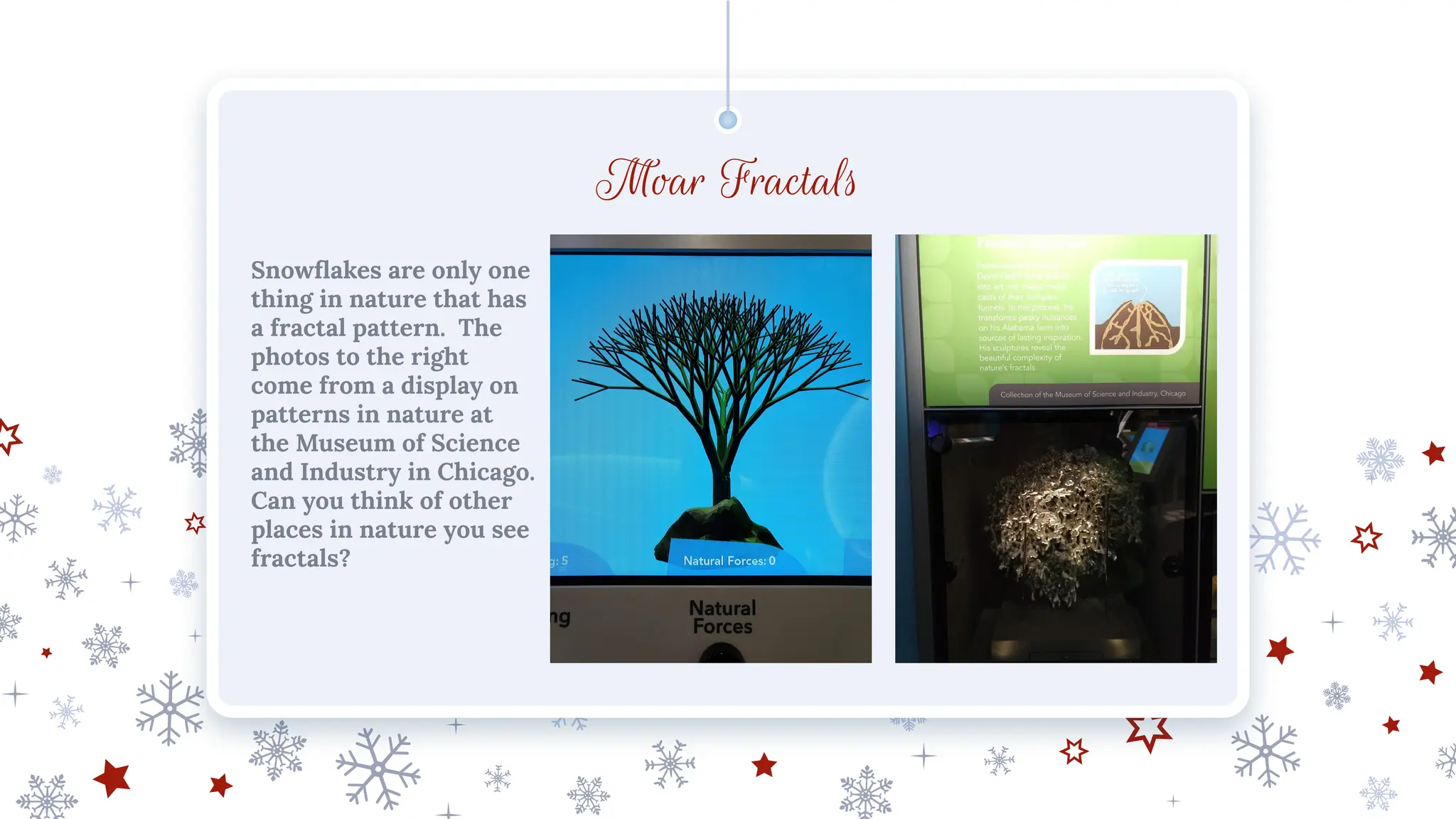 Moar Fractals
Snowﬂakes are only one
thing in nature that has
a fractal pattern. The
photos to the right
come from a display on
patterns in nature at
the Museum of Science
and Industry in Chicago.
Can you think of other
places in nature you see
fractals?
 