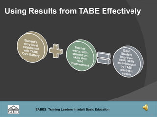 Using Results from TABE Effectively 