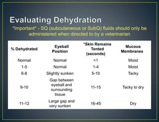 Tacky Normal Administering Vaccinations and Subcutaneous Fluids | PPTX