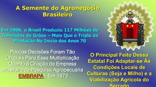 A Semente do Agronegócio
Brasileiro
Em 2006, o Brasil Produziu 117 Milhões de
Toneladas de Grãos – Mais Que o Triplo da
Produção No Início dos Anos 70
Poucas Decisões Foram Tão
Cruciais Para Essa Multiplicação
Quanto à Criação da Empresa
Brasileira de Pesquisa Agropecuária
(EMBRAPA), Em 1973
O Principal Feito Dessa
Estatal Foi Adaptar-se Às
Condições Locais de
Culturas (Soja e Milho) e a
Viabilização Agrícola do
 