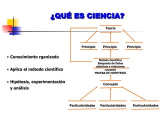 ¿QUÉ ES CIENCIA? Teoría Principio Principio Principio Método Científico Búsqueda de Datos objetivos y relaciones causales PRUEBA DE HOPOTESIS Concepto Particularidades Particularidades Particularidades Conocimiento rganizado Aplica el método científico Hipótesis, experimentación y análisis 