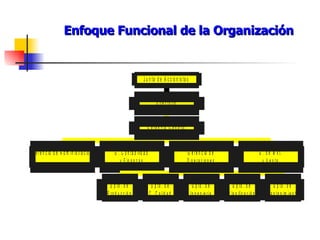 Enfoque Funcional de la Organización 