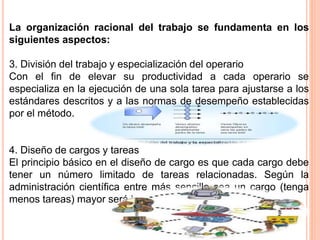 La organización racional del trabajo se fundamenta en los
siguientes aspectos:
3. División del trabajo y especialización del operario
Con el fin de elevar su productividad a cada operario se
especializa en la ejecución de una sola tarea para ajustarse a los
estándares descritos y a las normas de desempeño establecidas
por el método.
4. Diseño de cargos y tareas
El principio básico en el diseño de cargo es que cada cargo debe
tener un número limitado de tareas relacionadas. Según la
administración científica entre más sencillo sea un cargo (tenga
menos tareas) mayor será la eficiencia.
 