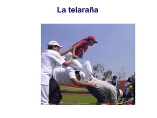 La telaraña 