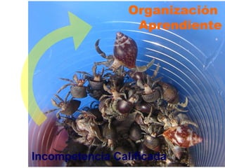 Incompetencia Calificada Organización  Aprendiente 