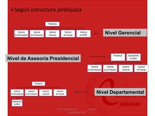 Prof. Ana Maria Gil. Version:
septiembre 2011
Según estructura jerárquica
Nivel Gerencial
Nivel de Asesoría Presidencial
Nivel Departamental
Gerencia
de Administración
Gerencia
de la Producción
Gerencia
Comercial
Gerencia
de Finanzas
Gerencia
de RRHH
Presidencia
Gerencia
de Administración
Gerencia
de la Producción
Gerencia
Comercial
Gerencia
de Finanzas
Presidencia Departamento
de RRHH
Departamento
de RRHH
Gerencia
de Administración
Gerencia
de la Producción
Gerencia
Comercial
Gerencia
de Finanzas
Presidencia
 