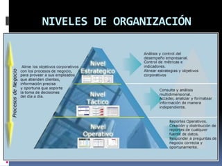 NIVELES DE ORGANIZACIÓN
 