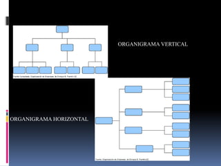 ORGANIGRAMA VERTICAL
ORGANIGRAMA HORIZONTAL
 