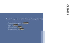 This is where you give credit to the ones who are part of this project.
⎯ Presentation template by Slidesgo
⎯ Icons by Flaticon
⎯ Infographics by Freepik
⎯ Images created by Freepik
CREDITS
 