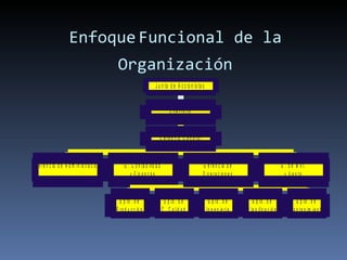 Enfoque   Funcional de la Organización 