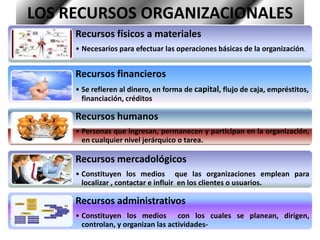 ConocimientosSistemaAmbiental