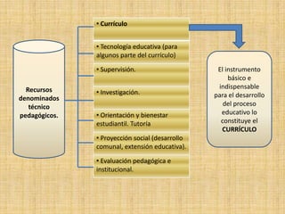 Se propone una reestructuración total del sistema nacional de la educación