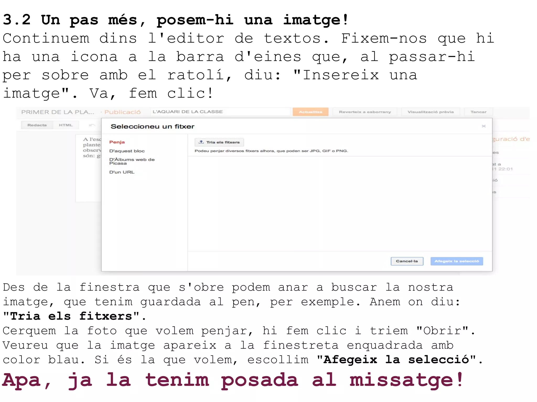3.2 Un pas més, posem-hi una imatge! Continuem dins l'editor de textos. Fixem-nos que hi ha una icona a la barra d'eines que, al passar-hi per sobre amb el ratolí, diu: "Insereix una imatge". Va, fem clic! Des de la finestra que s'obre podem anar a buscar la nostra imatge, que tenim guardada al pen, per exemple. Anem on diu: " Tria els fitxers ". Cerquem la foto que volem penjar, hi fem clic i triem "Obrir". Veureu que la imatge apareix a la finestreta enquadrada amb color blau. Si és la que volem, escollim " Afegeix la selecció ". Apa, ja la tenim posada al missatge! 