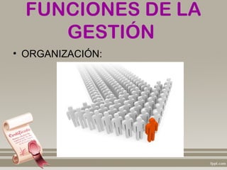 FUNCIONES DE LA
     GESTIÓN
• ORGANIZACIÓN:
 