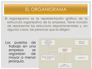 EL ORGANIGRAMA
El organigrama es la representación gráfica de la
estructura organizativa de la empresa. Tiene función
de representar las estructura departamentales y, en
algunos casos, las personas que la dirigen.

Los puestos de
trabajo en una
empresa
se
organizan
de
mayor a menor
jerarquía.

 