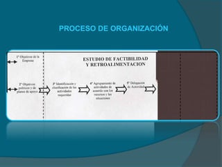 PROCESO DE ORGANIZACIÓN
 