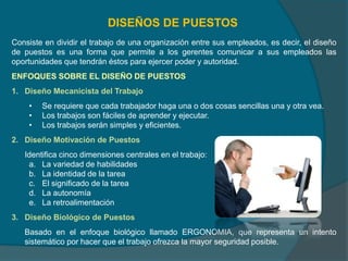 DISEÑOS DE PUESTOS
Consiste en dividir el trabajo de una organización entre sus empleados, es decir, el diseño
de puestos es una forma que permite a los gerentes comunicar a sus empleados las
oportunidades que tendrán éstos para ejercer poder y autoridad.
ENFOQUES SOBRE EL DISEÑO DE PUESTOS
1. Diseño Mecanicista del Trabajo
• Se requiere que cada trabajador haga una o dos cosas sencillas una y otra vea.
• Los trabajos son fáciles de aprender y ejecutar.
• Los trabajos serán simples y eficientes.
2. Diseño Motivación de Puestos
Identifica cinco dimensiones centrales en el trabajo:
a. La variedad de habilidades
b. La identidad de la tarea
c. El significado de la tarea
d. La autonomía
e. La retroalimentación
3. Diseño Biológico de Puestos
Basado en el enfoque biológico llamado ERGONOMIA, que representa un intento
sistemático por hacer que el trabajo ofrezca la mayor seguridad posible.
 