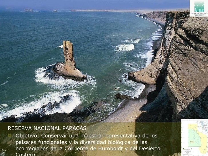 Download Paisajes marinos costeros vivos For Android
