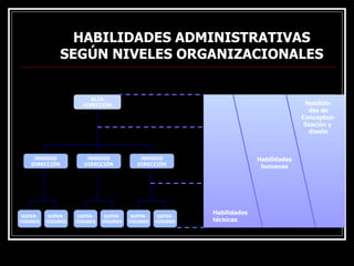 HABILIDADES ADMINISTRATIVAS
HABILIDADES ADMINISTRATIVAS
SEGÚN NIVELES ORGANIZACIONALES
SEGÚN NIVELES ORGANIZACIONALES
ALTA
DIRECCIÓN
MANDOS
DIRECCIÓN
MANDOS
DIRECCIÓN
SUPER-
VISORES
SUPER-
VISORES
MANDOS
DIRECCIÓN
SUPER-
VISORES
SUPER-
VISORES
SUPER-
VISORES
SUPER-
VISORES
Habilidades
técnicas
Habilidades
humanas
Habilida-
des de
Conceptua-
lización y
diseño
 