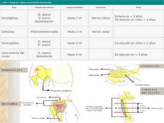 Musulo Bisel Administracion De Medicamentos | PPT