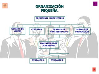 ORGANIZACIÓN PEQUEÑA. PRESIDENTE /PROPIETARIO GERENTE DE VENTAS CONTADOR GERENTE DE ADMINISTRATIVO GERENTE DE PRODUCCIÓN A...