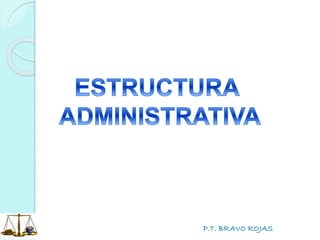 P.T. BRAVO ROJAS
 