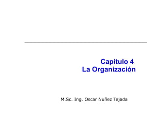 Capitulo 4  La Organización M.Sc. Ing. Oscar Nuñez Tejada 