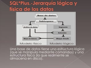 SQL*Plus.-Jerarquía lógica y física de los datos	Una base de datos tiene una estructura lógica (que se manipula mediante comandos) y una estructura física (la que realmente se almacena en disco).