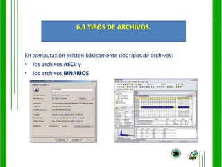 Administraciondearchivosvi 091203150344-phpapp02