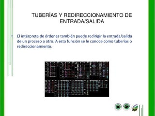 Administraciondearchivosvi 091203150344-phpapp02