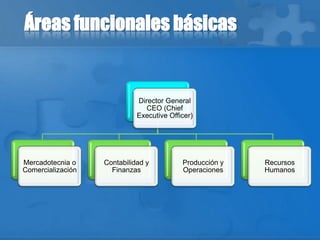 Áreas funcionales básicas
Director General
CEO (Chief
Executive Officer)
Mercadotecnia o
Comercialización
Contabilidad y
Finanzas
Producción y
Operaciones
Recursos
Humanos
 