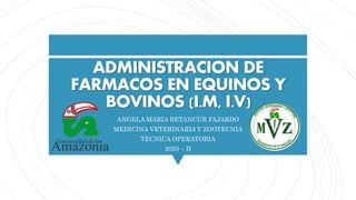 ADMINISTRACION DE
FARMACOS EN EQUINOS Y
BOVINOS (I.M, I.V)
ANGELA MARIA BETANCUR FAJARDO
MEDICINA VETERINARIA Y ZOOTECNIA
TECNICA OPERATORIA
2020 – II
 