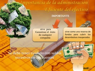 IMPORTANTE
Se debe tener cuidado con saldos
excesivos en las cuentas
sirve como una reserva de
fondos para cubrir los
desembolsos inesperados
sirve para
Garantizar el éxito
de cualquier
compañía
 