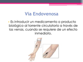 Vía Endovenosa 
• Es introducir un medicamento o producto 
biológico al torrente circulatorio a través de 
las venas, cuando se requiere de un efecto 
inmediato. 
 