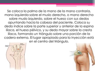 Se coloca la palma de la mano de la mano contraria, 
mano izquierda sobre el muslo derecho, o mano derecha 
sobre muslo izquierdo, sobre el hueso con sus dedos 
apuntando hacia la cabeza del paciente. Coloca su 
dedo índice sobre la parte superior y anterior de la espina 
ilíaca, el hueso pélvico, y su dedo mayor sobre la cresta 
ilíaca, formando un triángulo sobre una porción de la 
cadera externa. El lugar apropiado para la inyección está 
en el centro del triángulo. 
 