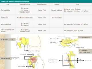 Tabla 1. Áreas para aplicar una inyección intramuscular
Área Posición del enfermo Volumen admitido Precaución Otros
Dorsoglútea
D. lateral
D. prono
Bipedestación
Hasta 7 ml Nervio ciático
Evitarla en < 3 años.
De elección en niños > 3 años.
Deltoidea Prácticamente todas Hasta 2 ml Nervio radial
Ventroglútea
D. lateral
D. supino
Hasta 5 ml De elección en niños > 3 años.
Cara externa del
muslo
D. supino
Sedestación
Hasta 5 ml De elección en < 3 años.
DORSOGLUTEA
DELTOIDEA
VENTROGLUTEA
CARAS EXT
DEL GLUTEO
 
