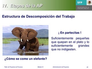 28Taller de Proyectos de Procesos Módulo IV Administración de Proyectos
IV.IV. Etapas de la APEtapas de la AP
¿Cómo se come un elefante?
¡ En partecitas !
Suficientemente pequeñas
que quepan en el plato y lo
suficientemente grandes
que no indigesten.
Estructura de Descomposición del Trabajo
 