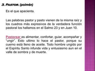 Es el que apacienta.
Las palabras pastor y pasto vienen de la misma raíz y
los cuadros más expresivos de la verdadera función
pastoral los hallamos en el Salmo 23 y en Juan 10.
Pastorear es alimentar, confortar, guiar, acompañar y
“ungir”. Esto ultimo lo hace el pastor, porque su
cuerno está lleno de aceite. Todo hombre ungido por
el Espíritu Santo infunde vida y entusiasmo aun en el
valle de sombra y de muerte.
3. Pastor. (poimén)
 