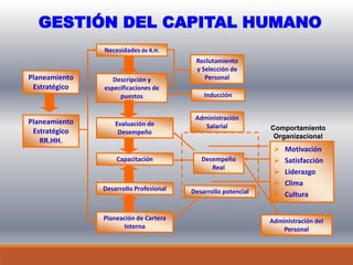 GESTIÓN DEL CAPITAL HUMANO
Planeamiento
Estratégico
Planeamiento
Estratégico
RR.HH.
Necesidades de R.H.
Descripción y
especificaciones de
puestos
Evaluación de
Desempeño
Capacitación
Desarrollo Profesional
Planeación de Cartera
Interna
Reclutamiento
y Selección de
Personal
Inducción
Administración
Salarial
Desempeño
Real
Desarrollo potencial
Administración del
Personal
 Motivación
 Satisfacción
 Liderazgo
 Clima
 Cultura
Comportamiento
Organizacional
 