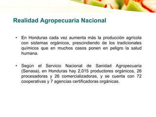 Realidad Agropecuaria Nacional
• En Honduras cada vez aumenta más la producción agrícola
con sistemas orgánicos, prescindiendo de los tradicionales
químicos que en muchos casos ponen en peligro la salud
humana.
• Según el Servicio Nacional de Sanidad Agropecuaria
(Senasa), en Honduras hay 2,015 productores orgánicos, 26
procesadoras y 26 comercializadoras, y se cuenta con 72
cooperativas y 7 agencias certificadoras orgánicas.
 