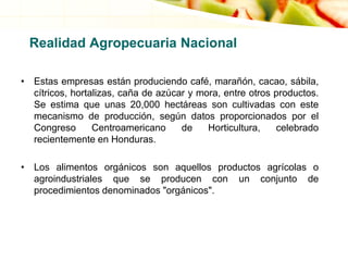 • Estas empresas están produciendo café, marañón, cacao, sábila,
cítricos, hortalizas, caña de azúcar y mora, entre otros productos.
Se estima que unas 20,000 hectáreas son cultivadas con este
mecanismo de producción, según datos proporcionados por el
Congreso Centroamericano de Horticultura, celebrado
recientemente en Honduras.
• Los alimentos orgánicos son aquellos productos agrícolas o
agroindustriales que se producen con un conjunto de
procedimientos denominados "orgánicos".
Realidad Agropecuaria Nacional
 
