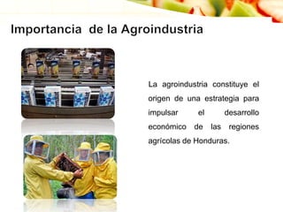 La agroindustria constituye el
origen de una estrategia para
impulsar el desarrollo
económico de las regiones
agrícolas de Honduras.
 